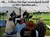 th, Bild Galleri 2016-16, Smultronboda, 5 juni, 07, co.jpg